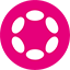 Polkadot Network